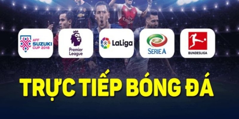 Socolive là kênh trực tiếp bóng đá top đầu trên thị trường