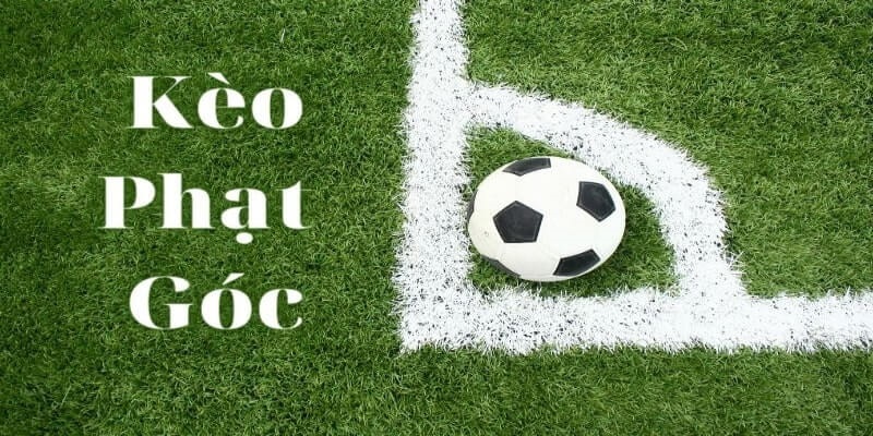 Kèo phạt góc FB68live là gì và những loại kèo phạt góc trong đặt cược bóng đá 2 Kèo phạt góc FB68Live cả trận