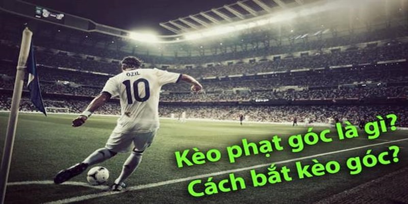 Kèo phạt góc FB68live là gì và những loại kèo phạt góc trong đặt cược bóng đá 4 Hướng dẫn chơi kèo phạt góc hiệu quả từ FB68 live