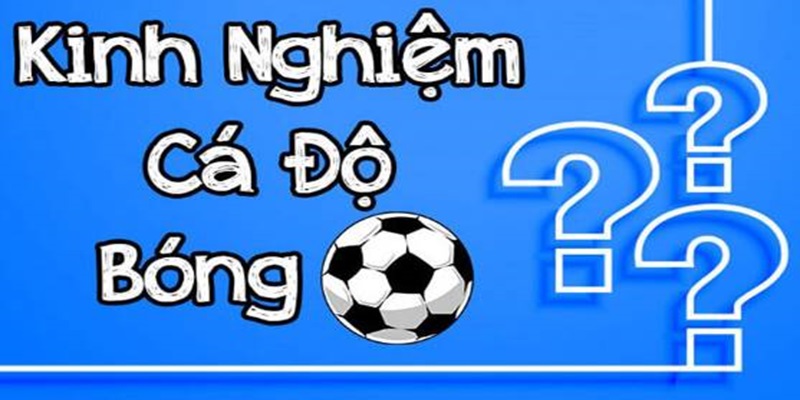 Bật mí kinh nghiệm cá cược bóng đá giúp bạn dễ kiếm tiền 1 Kinh nghiệm cá cược bóng đá tại FB68 live