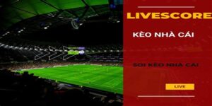 Giới thiệu về Livescore bóng đá tại FB68 live