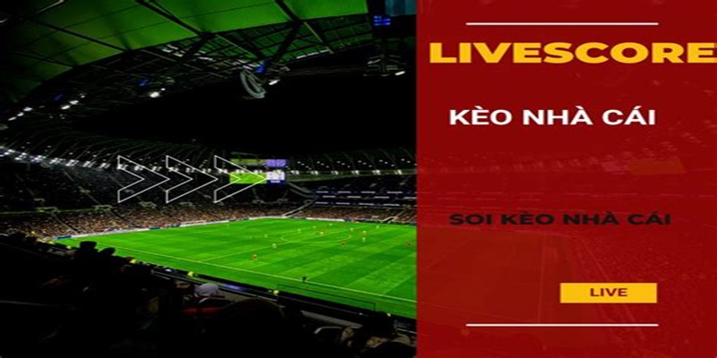 Giới thiệu về Livescore bóng đá tại FB68 live