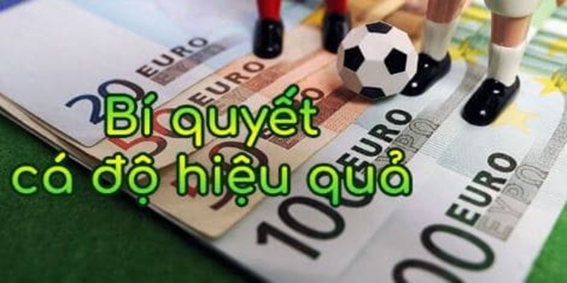 Tổng hợp 5 mẹo cá cược thắng lớn cho người chơi tại FB68 live 2 Chỉ đặt cược khi nắm rõ thông tin là mẹo cá cược thắng lớn hiệu quả
