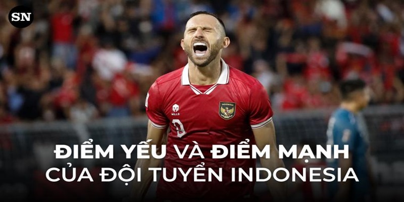 Phân tích đội tuyển AFF Cup - Những thông tin về các đội tuyển góp mặt tại AFF Cup 2024 2 Đội tuyển Indonesia là cái tên không thể coi thường ở giải đấu tới