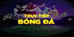 Thông tin về xem bóng đá trực tiếp