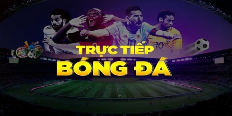 Thông tin về xem bóng đá trực tiếp
