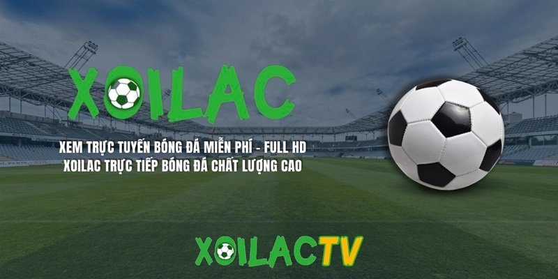 Đồng hành cùng người hâm mộ ở Euro 2024 và World Cup 2026
